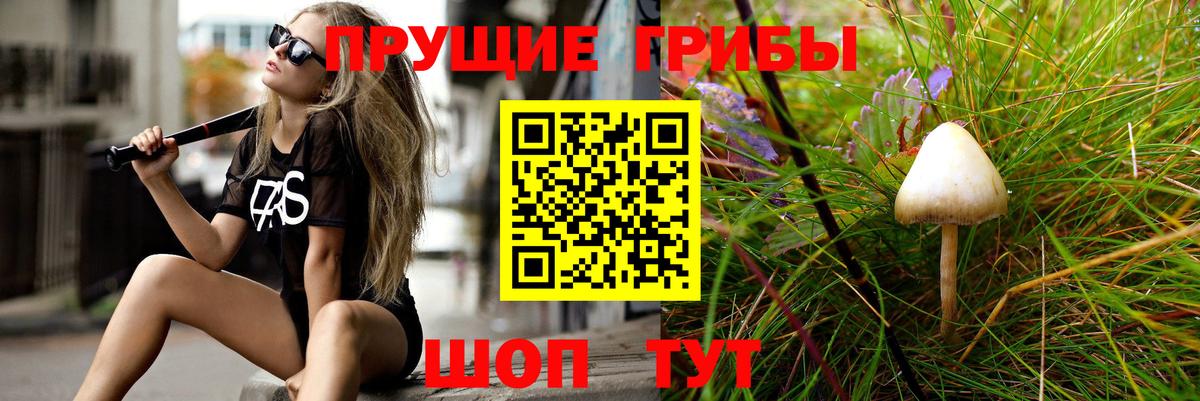 Краснознаменск  Галлюциногенные грибы Magic Shrooms  Вход с VPN 